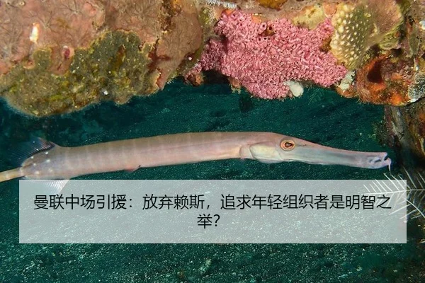 man-lian-zhong-chang-yin-yuan-fang-qi-lai-si-zhui-qiu-nian-qing-zu-zhi-zhe-shi-ming-zhi-zhi-ju-2-875.jpg