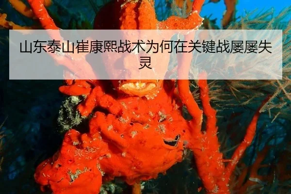 山东泰山崔康熙战术为何在关键战屡屡失灵
